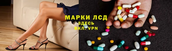 бошки Белокуриха