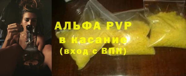 бошки Белокуриха