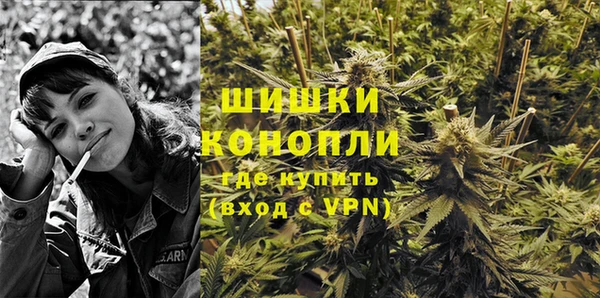 бошки Белокуриха