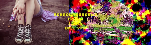 бошки Белокуриха