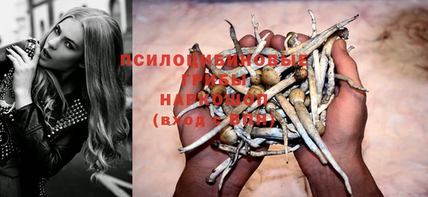 бошки Белокуриха