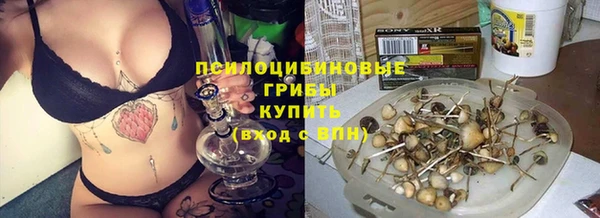 бошки Белокуриха